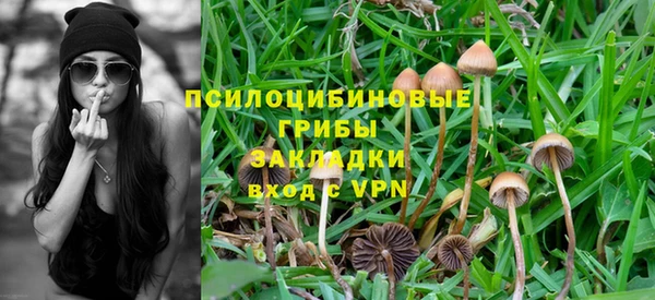 ECSTASY Алзамай