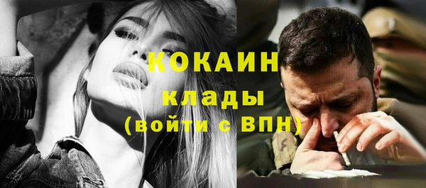 бошки Алексин