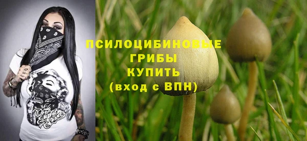 ECSTASY Алзамай