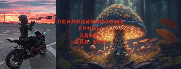 ECSTASY Алзамай